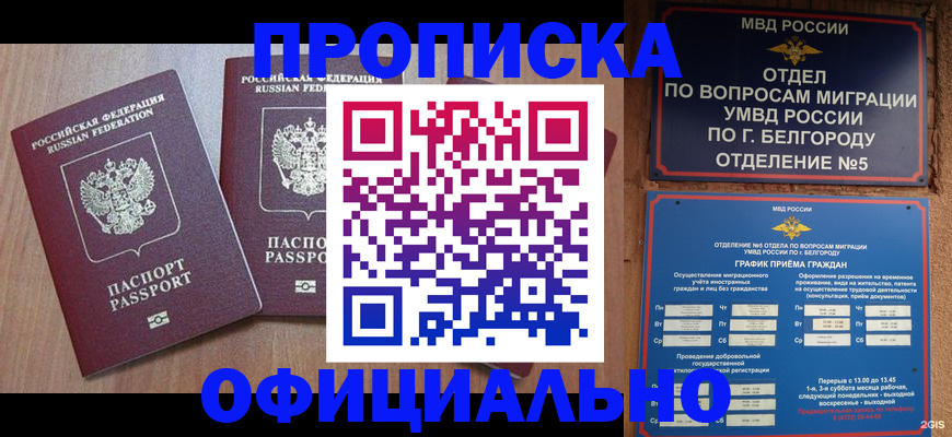 найти адрес прописки в Гвардейске